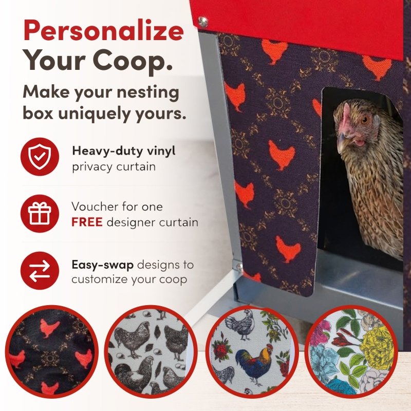 RentACoop Roll-Out Reversible Chicken Nesting Box Suite – 3 compartment