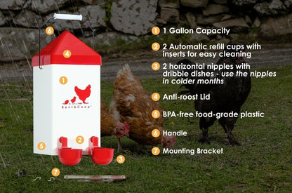1 Gallon Chicken Waterer with 2 Auto-Fill Cups, Horizontal Nipples and Anti-Roost Cone