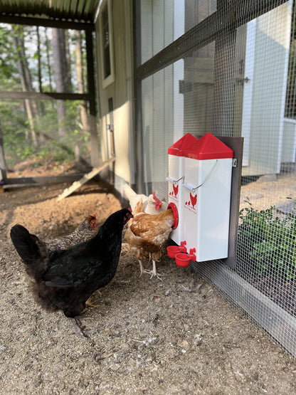 Twin Cup Chicken Waterer and Feeder Set - 10lbs/2 Gal