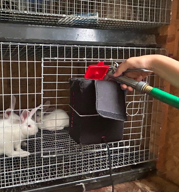 RAC Paws 64oz(2L) BPA-Free Heated Small Animal Drinker with Brass Nozzle with 6ft Power Cord for Pets, Bunnies, Ferrets, Hamsters, Guinea Pigs, Rabbits, Chinchillas, Mice, Rats, and Small Animals (2024 Version)