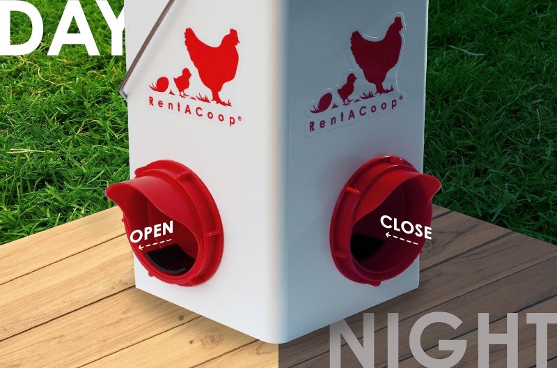 Chick2Chicken 5lb 2-Port Chicken Feeder and 1-Gal Small Cage Waterer Set