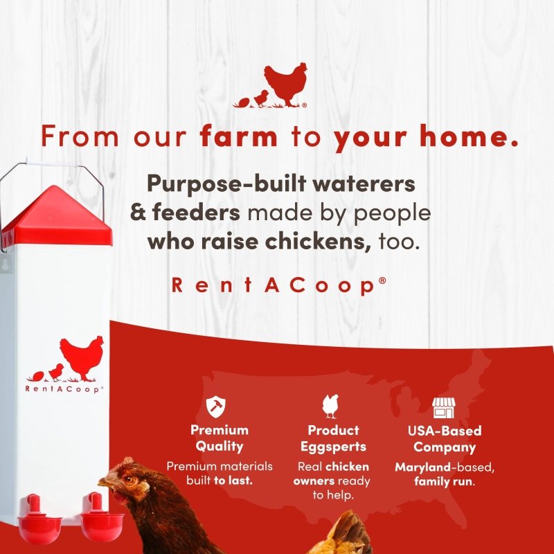 Twin Cup Chicken Waterer & Feeder Set 10lbs/2Gal | RentACoop