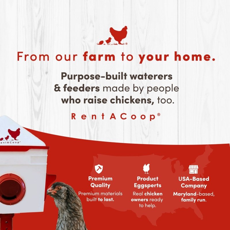 RentACoop Chick2Chicken 10lb Feeder &amp; 2 Gal Waterer Set