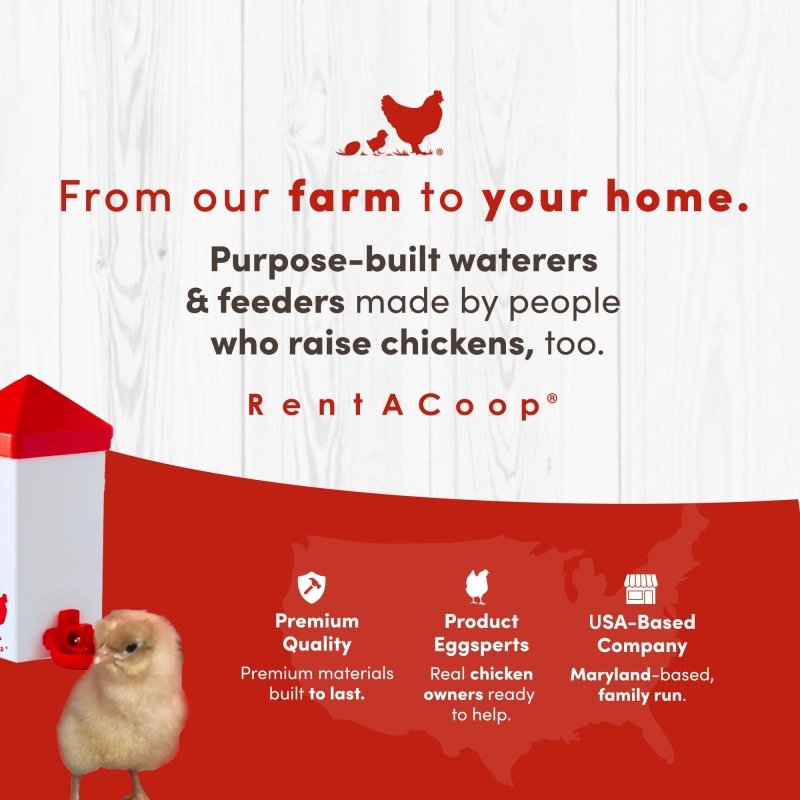 RentACoop 32oz(1L) Drinker Plus 2 Versatile Nipples - Suitable for Chicks, Quail, Pigeons, Doves, and Other Smaller Birds