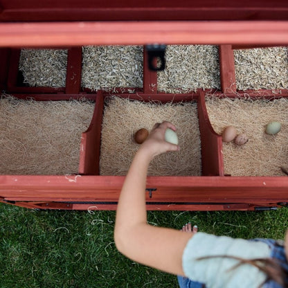 Chicken Coop for 10 Chickens – Rhode Island Homestead Coop with Run Extension Options