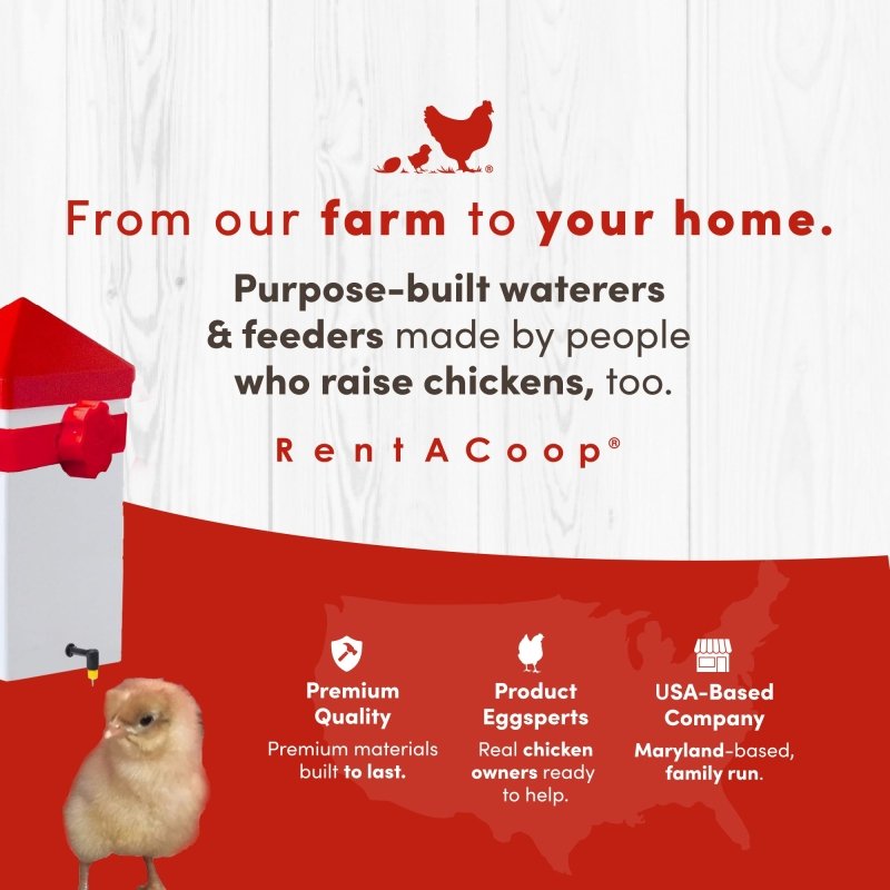 RentACoop 32oz(1L) Drinker Plus 2 Versatile Nipples - Suitable for Chicks, Quail, Pigeons, Doves, and Other Smaller Birds