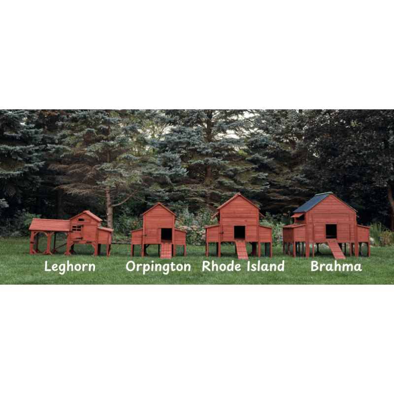 Chicken Coop for 10 Chickens – Rhode Island Homestead Coop with Run Extension Options