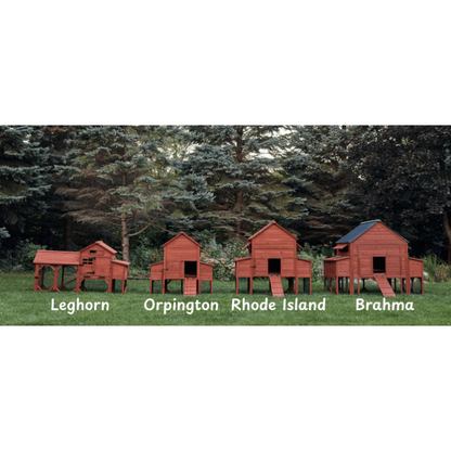 Chicken Coop for 10 Chickens – Rhode Island Homestead Coop with Run Extension Options