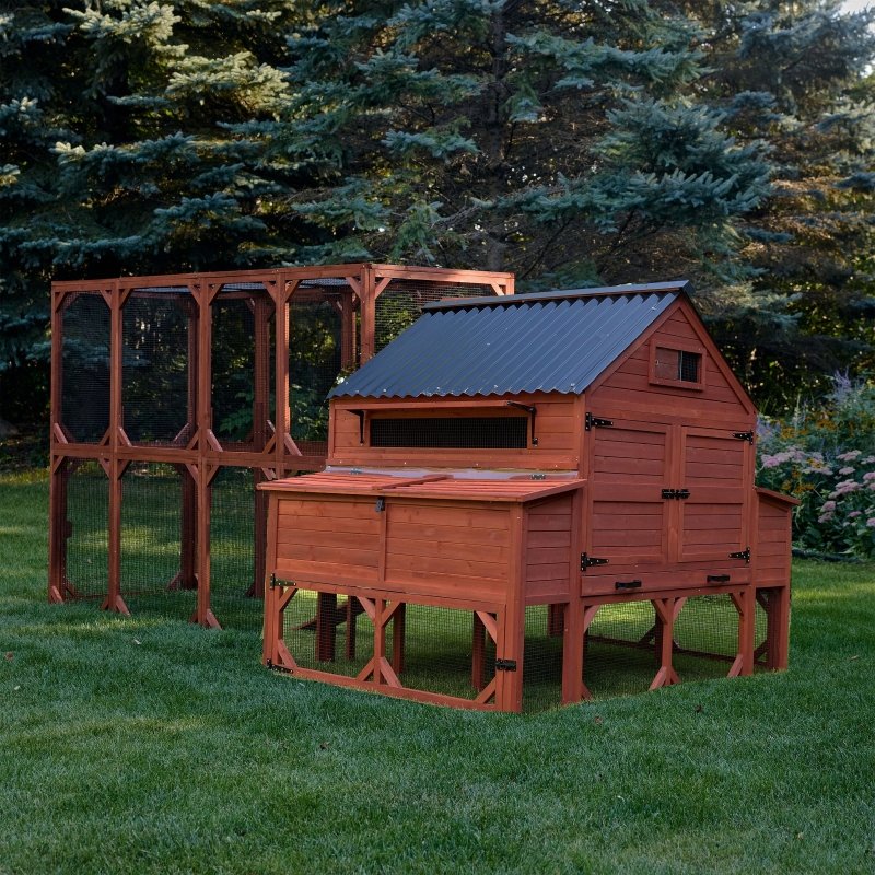 Chicken Coop for 15 Chickens – Brahma Chicken Coop with Run Extension Options