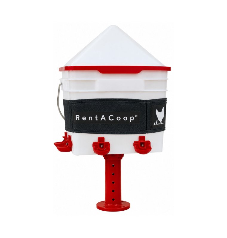 RentACoop Thermo Bucket Belt Lg &amp; 2 Gal Corner Waterer