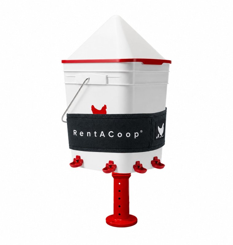 Thermo Bucket Belt and 5Gal Corner Waterer Bundle
