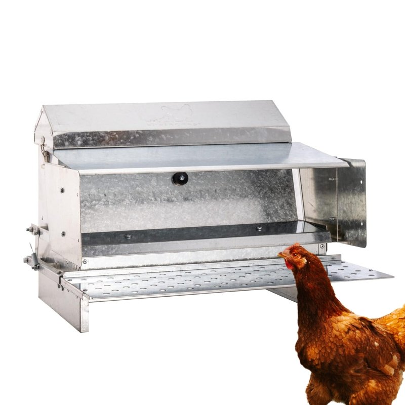 Chicken Feeders & Waterers | Chicken Supplies – RentACoop
