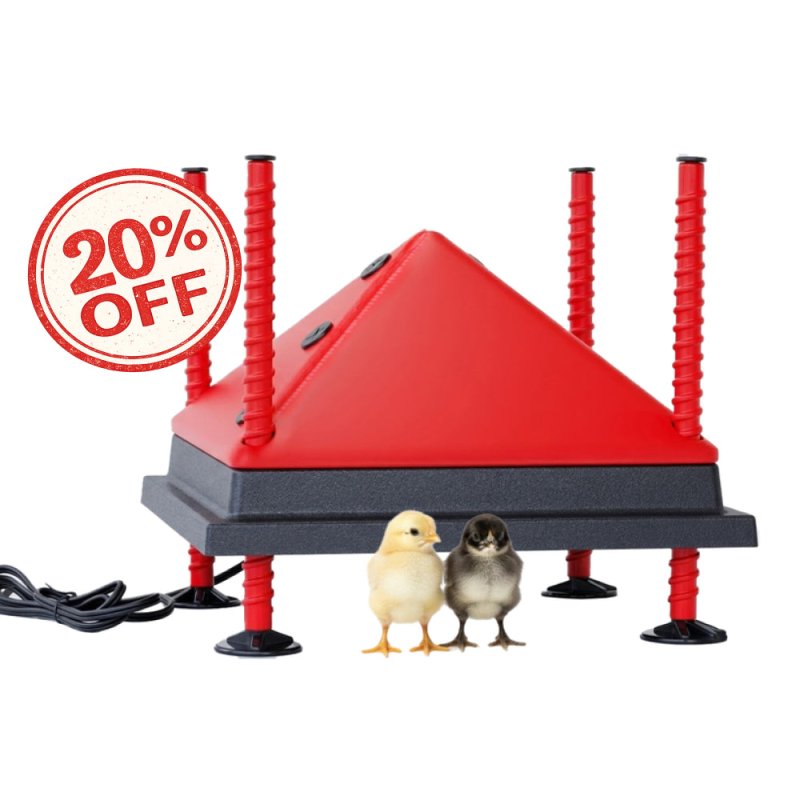 RentACoop 12x12” Adjustable Heating Plate with Bonus Foldable Anti-Roost Cone for up to 20 Chicks