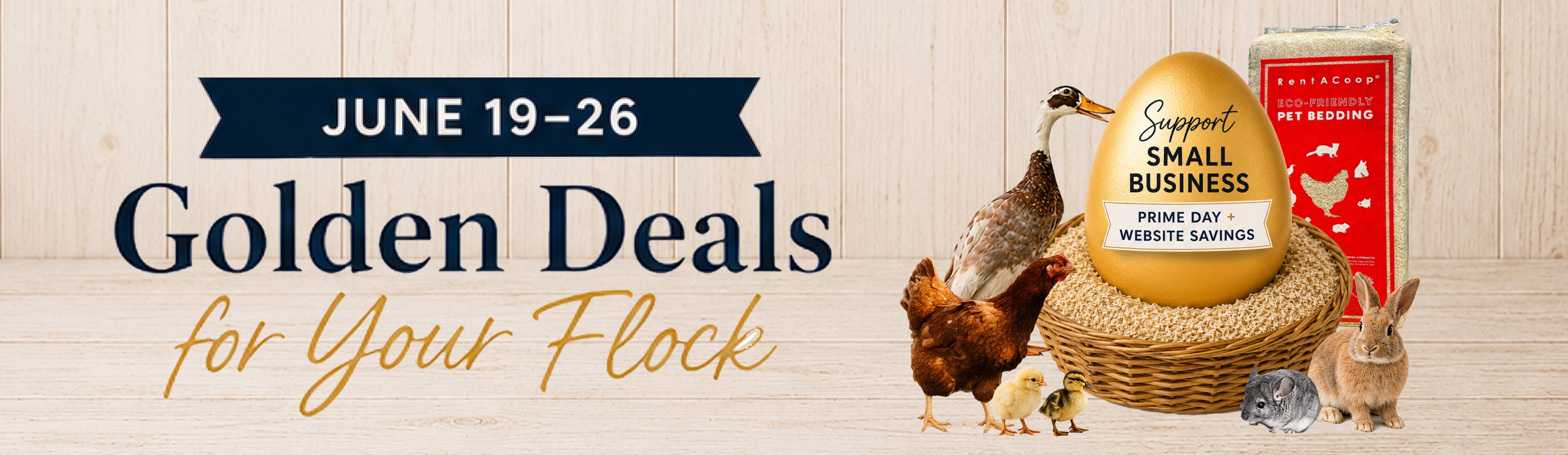 Baby Chick Supplies | Brooders, Feeders, Waterers – RentACoop
