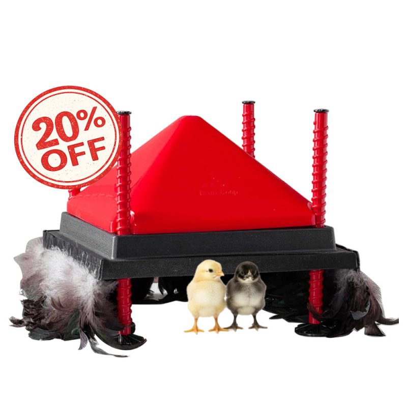 RentACoop 12x12” Adjustable Heating Plate with Hard Anti-Roost Cone Set and Removable Comfort Feathers - Chick Brooder Heat Plate Warms Up to 20 Chicks