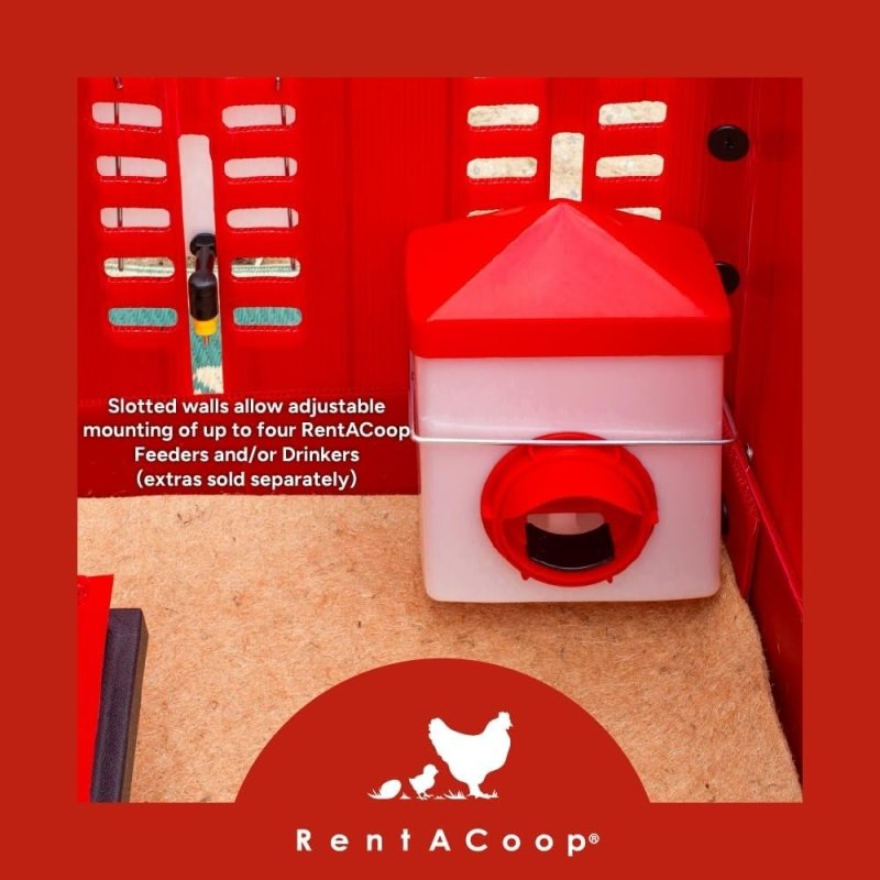 RentACoop Little Red Barn Folding Chick Brooder Set - RentACoop