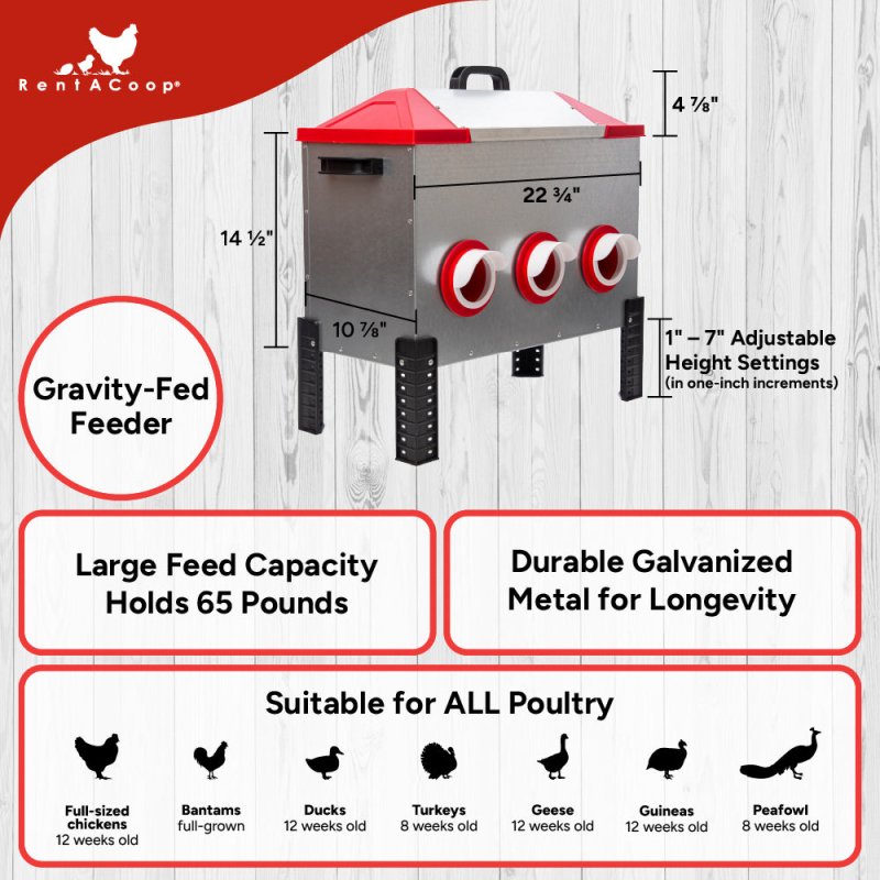 RentACoop Flock Feeder 65 lb - Large Capacity, Weatherproof Metal 6-Port Feeder for Adult Chickens, Turkeys, Ducks, and More