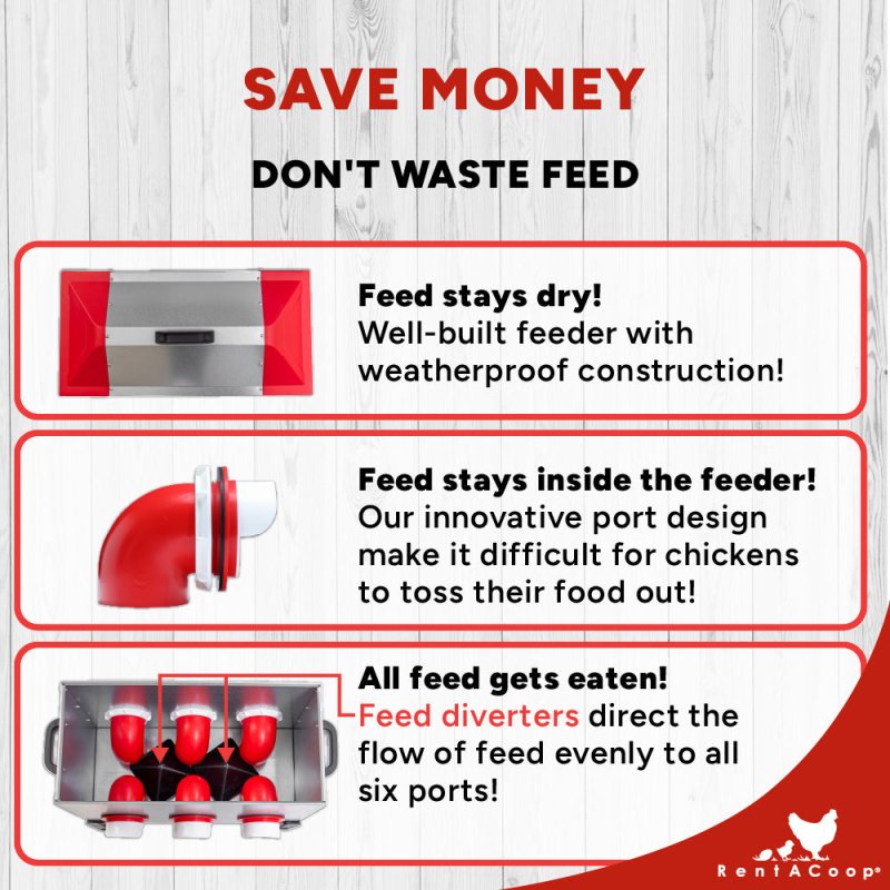 RentACoop Flock Feeder 65 lb - Large Capacity, Weatherproof Metal 6-Port Feeder for Adult Chickens, Turkeys, Ducks, and More