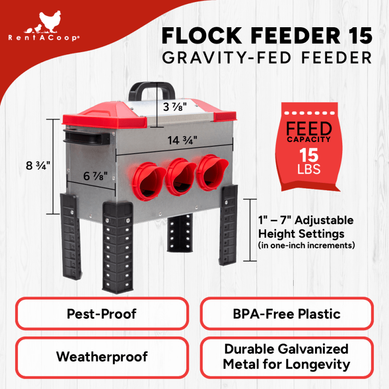RentACoop 15lb Metal Chick2Chicken Feeder with 6 Ports