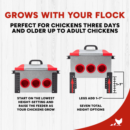 RentACoop 15lb Metal Chick2Chicken Feeder with 6 Ports