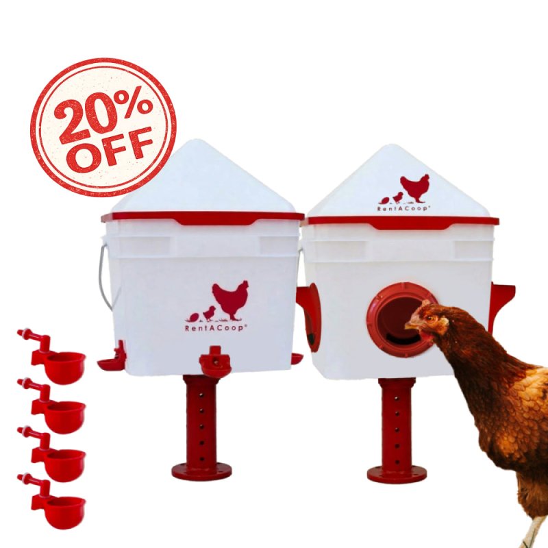 RentACoop Chick2Chicken 10lb Feeder &amp; 2 Gal Waterer Set