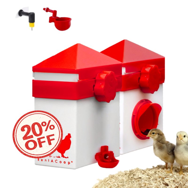 RentACoop 2.5 Pound Chick2Chicken Medium Port Feeder and 64 Ounce (2 Liter) Drinker Set for Chicks, Chickens, Quail, and Other Small Birds