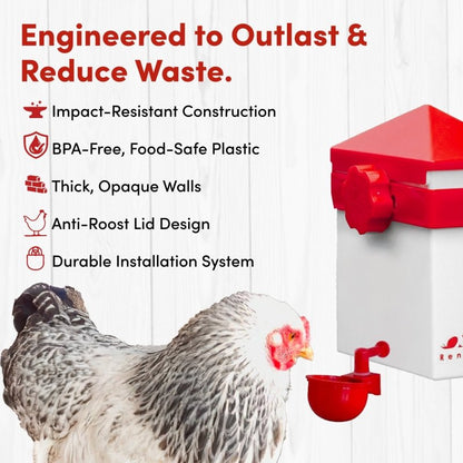 RentACoop 2.5 Pound Chick2Chicken Medium Port Feeder and 64 Ounce (2 Liter) Drinker Set for Chicks, Chickens, Quail, and Other Small Birds