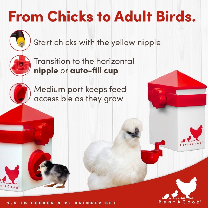 2.5lb Chick Feeder & Drinker Set | Chick Supplies | RentACoop