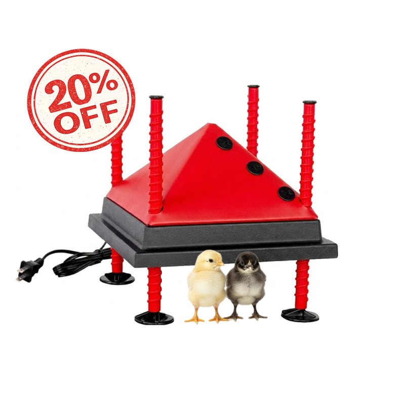 RentACoop 10x10” Adjustable Heating Plate with Bonus Foldable Anti-Roost Cone for up to 15 Chicks