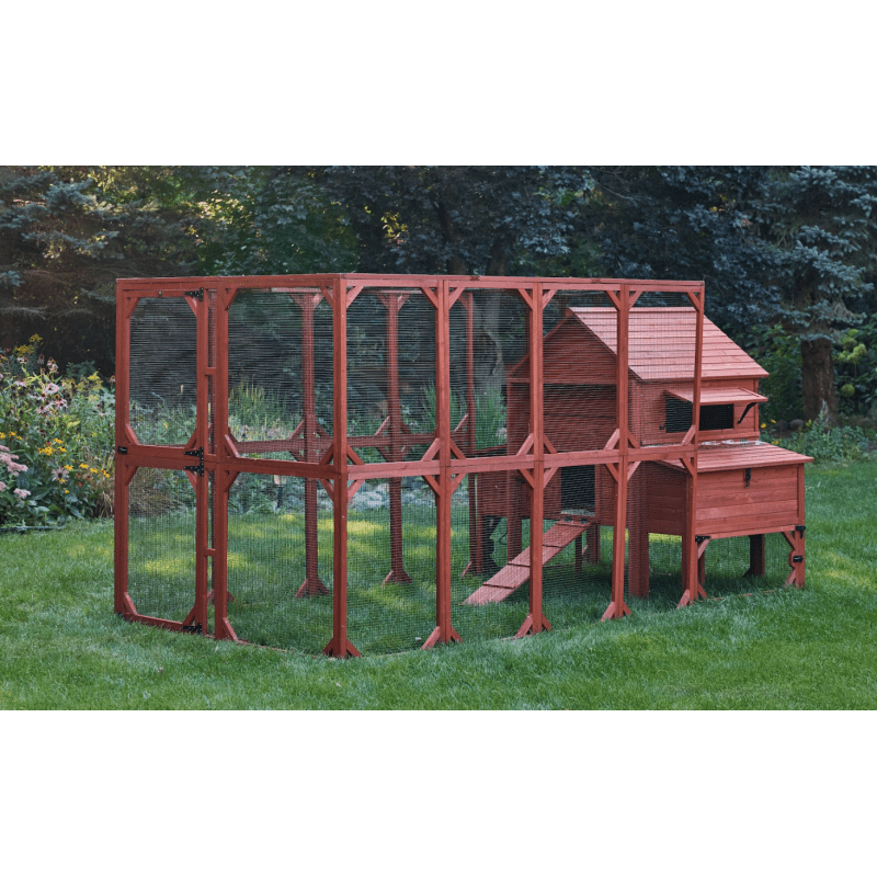Chicken Coop for 10 Chickens – Rhode Island Homestead Coop with Run Extension Options