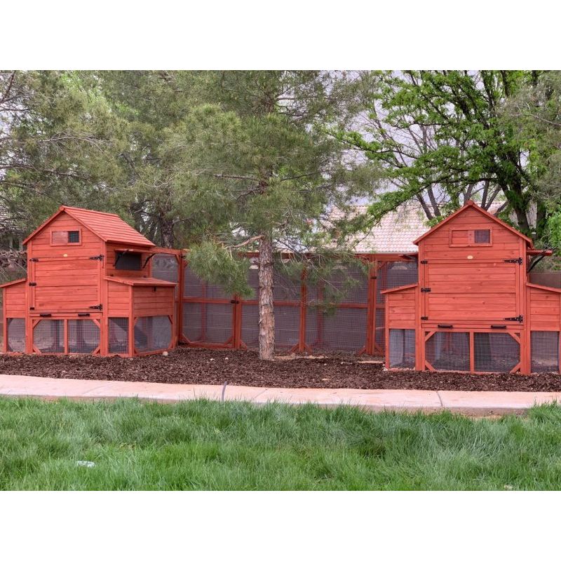 Chicken Coop for 10 Chickens – Rhode Island Homestead Coop with Run Extension Options