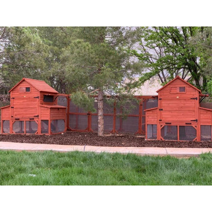 Chicken Coop for 10 Chickens – Rhode Island Homestead Coop with Run Extension Options