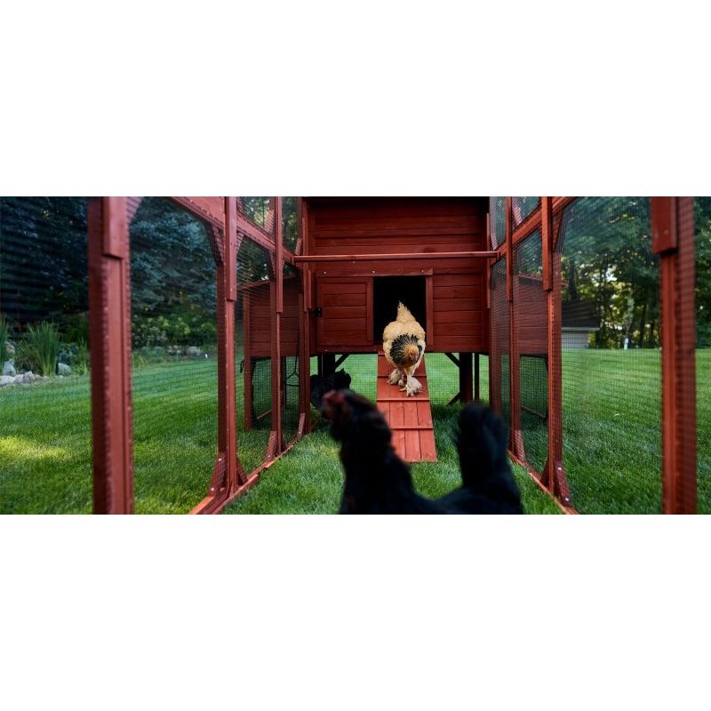 Chicken Coop for 10 Chickens – Rhode Island Homestead Coop with Run Extension Options
