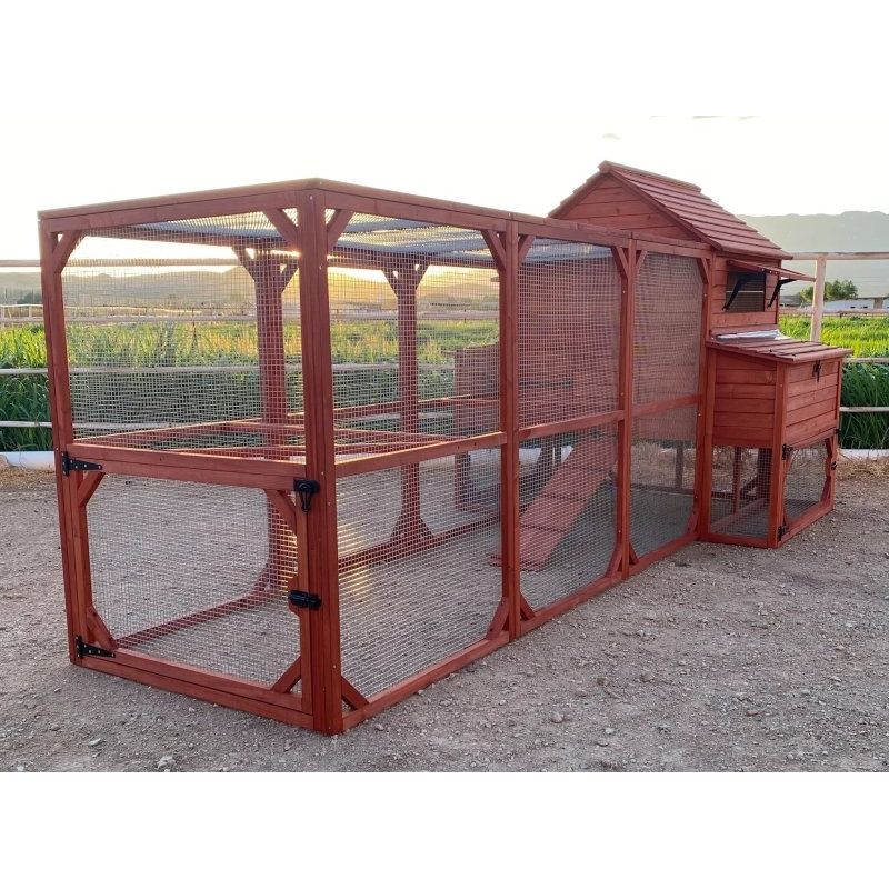 Chicken Coop for 10 Chickens – Rhode Island Homestead Coop with Run Extension Options