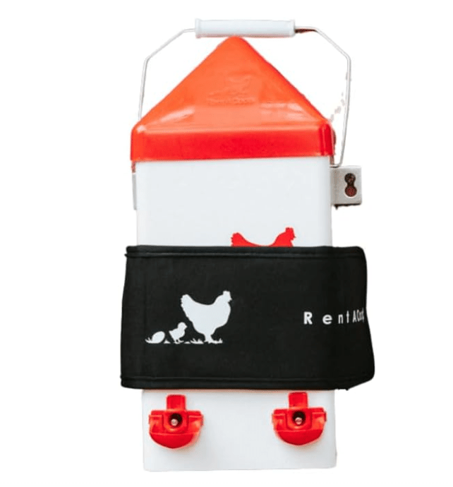 RentACoop Thermo Bucket Belt Sm and 1 Gal Waterer