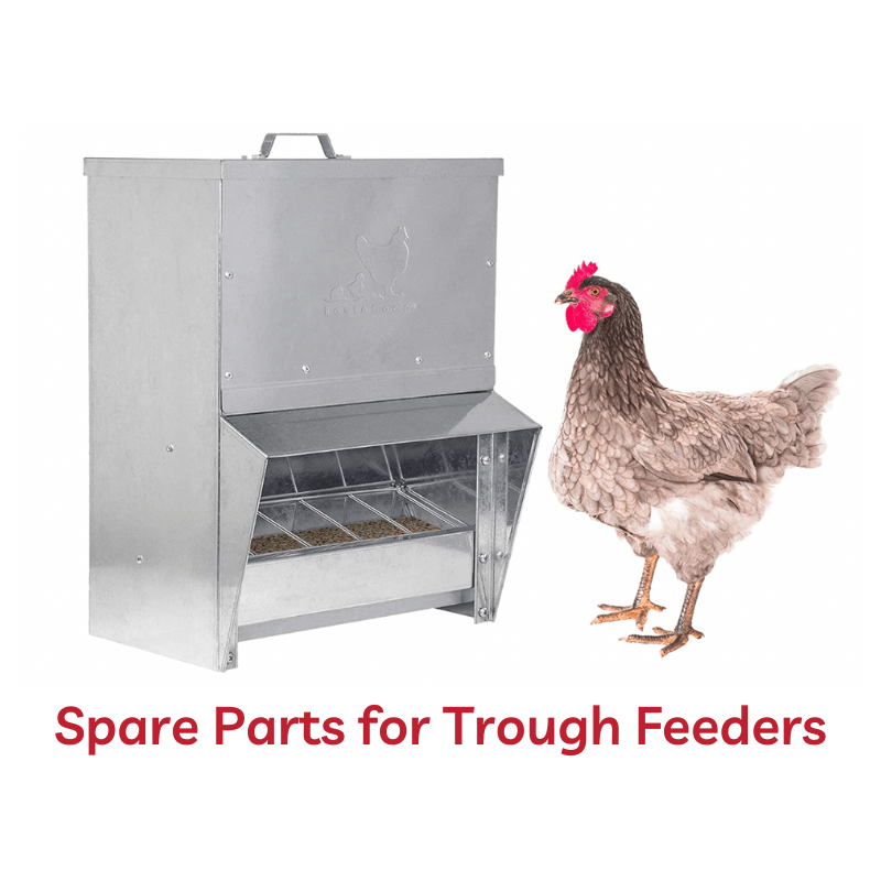 Spare Parts for Trough Feeders - RentACoop