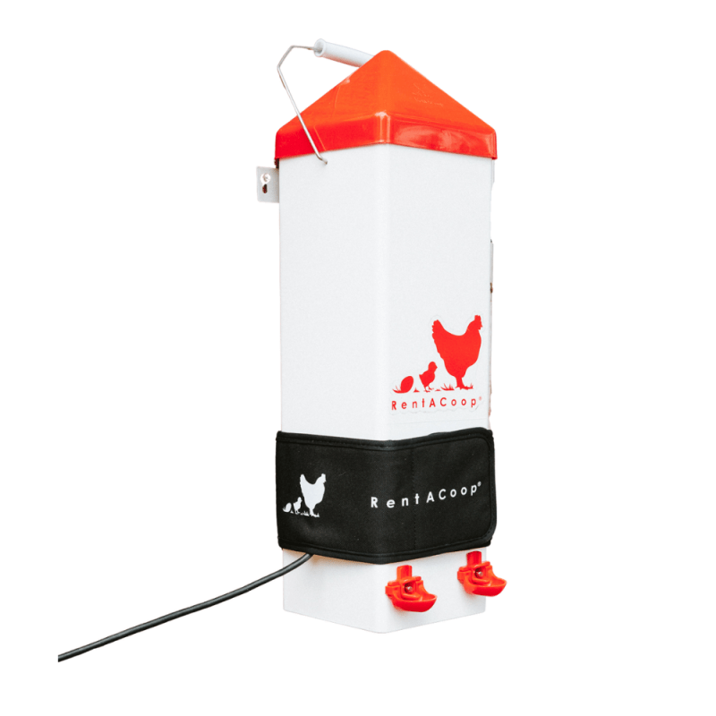 RentACoop 2 Gal High Rise Waterer &amp; SM Thermo Bucket Belt Bundle