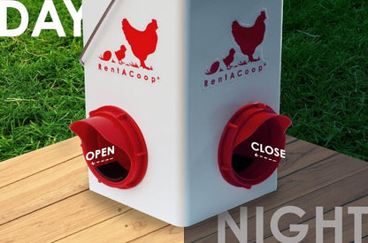 5lb Chick2Chicken BPA-Free 1-Port Chicken Feeder