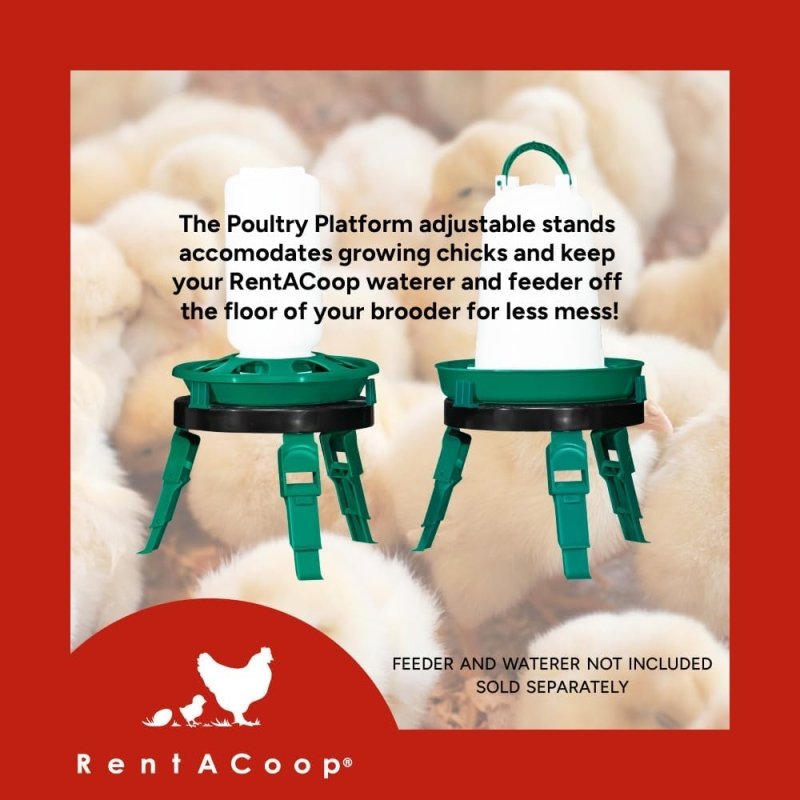 RentACoop 1 Liter Chick Feeder and 1.5 Liter Chick Drinker Set with Two (2) Poultry Platform Adjustable Stands - RentACoop