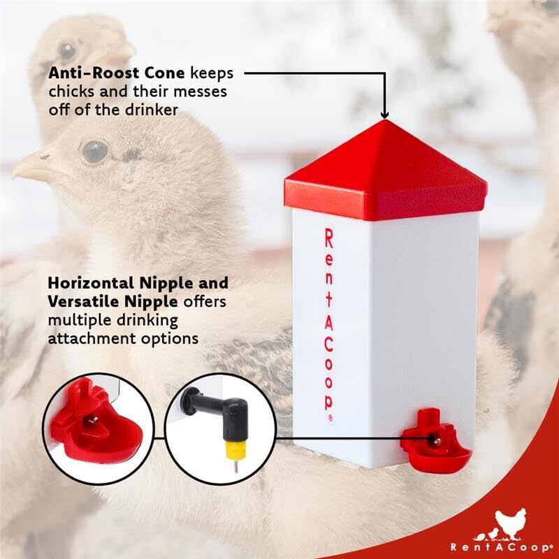 RentACoop 32oz(1L) Drinker Plus 2 Versatile Nipples - Suitable for Chicks, Quail, Pigeons, Doves, and Other Smaller Birds