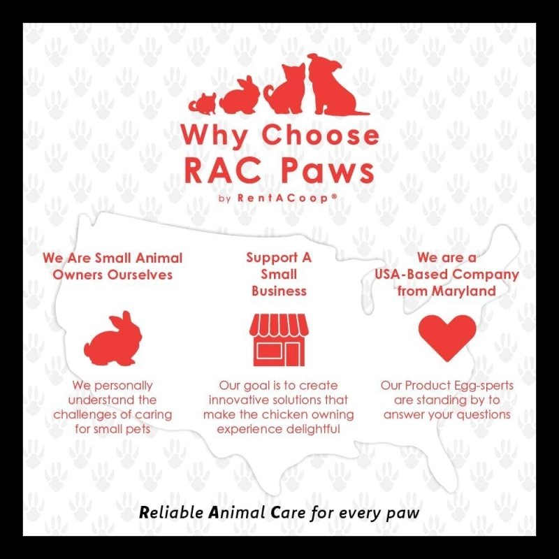 RAC Paws 32oz(1L) Small Animal Drinker with No-Drip Brass Nipple - Suitable for Small Pets, Bunnies, Hamsters, Guinea Pigs, Rabbits, Chinchillas, Mice and Rats