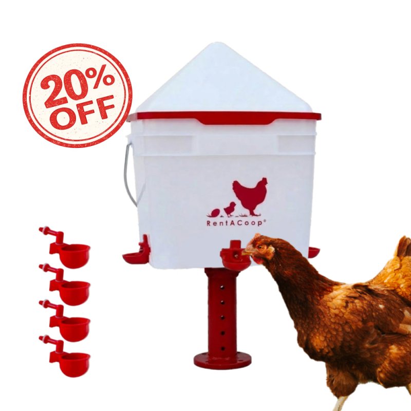 RentACoop 2 Gallon Chicken Waterer with 4 Auto-Fill Water Cups and 4 Horizontal nipples
