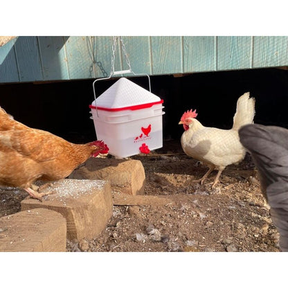 RentACoop 2 Gallon Chicken BPA-Free Plastic Bucket Waterer Set with 4 Horizontal Nipples - Center Placement - 2025 Version