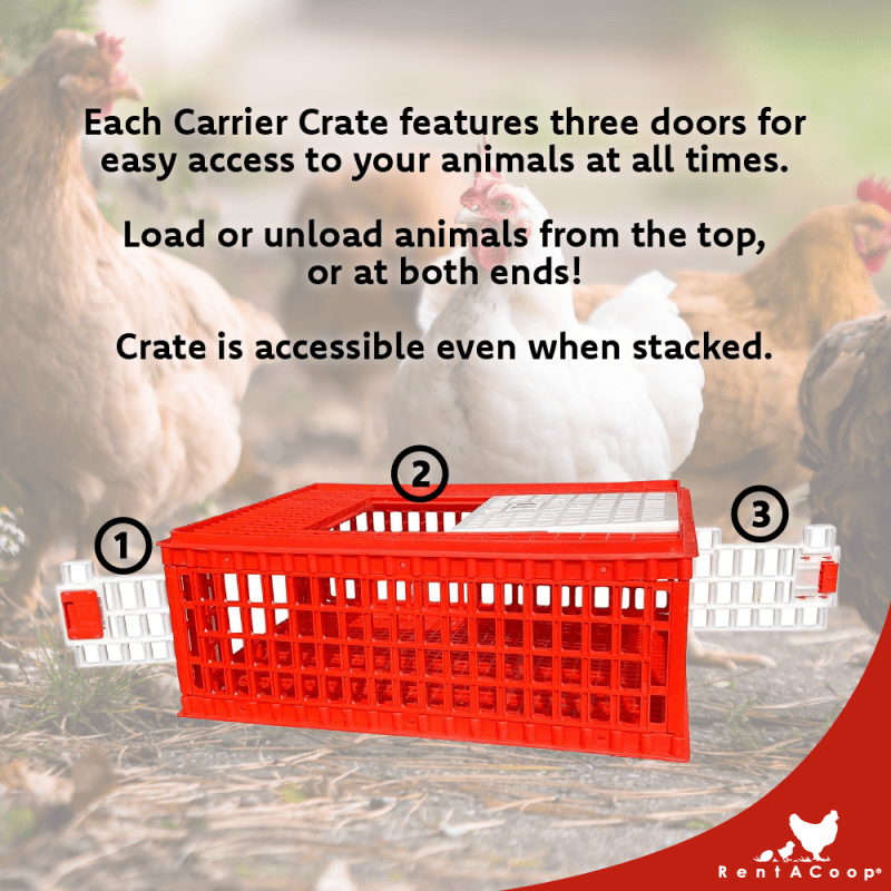 RentACoop Stackable Poultry Carrier Crate (Pack of 4) - RentACoop