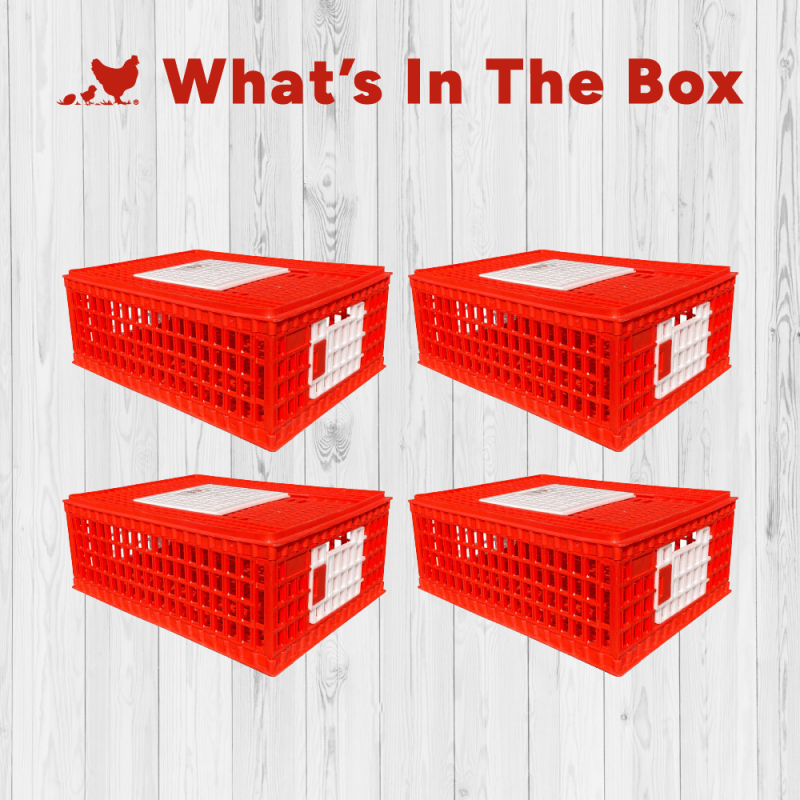 RentACoop Stackable Poultry Carrier Crate (Pack of 4) - RentACoop