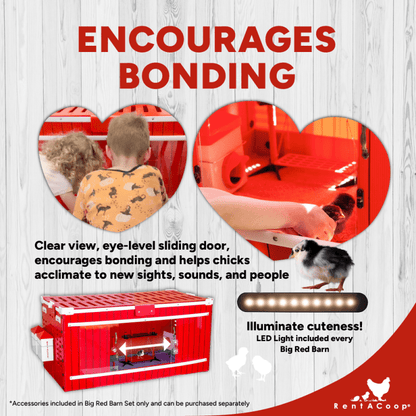 RentACoop Little Red Barn Set &amp; Incubator Bundle