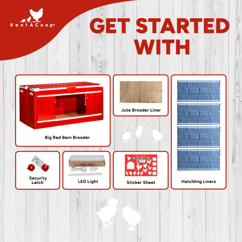 RentACoop Big Red Barn Set and Incubator Bundle