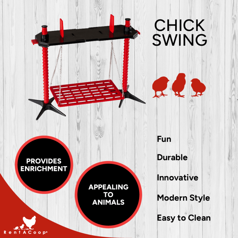 Chick Swing and Versatile Chick Feeder Waterer and Accessory Stand Set