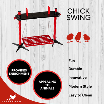 Chick Swing and Versatile Chick Feeder Waterer and Accessory Stand Set