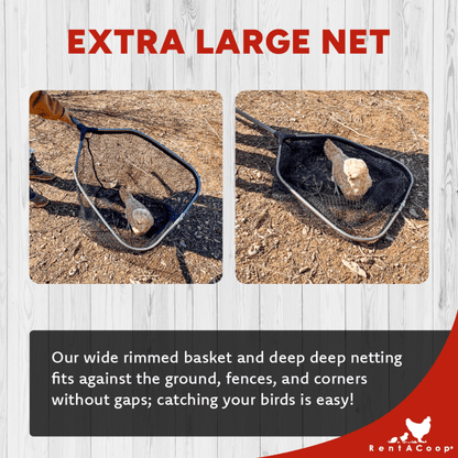 RentACoop Cluck Catcher Chicken Catching Net for All Poultry